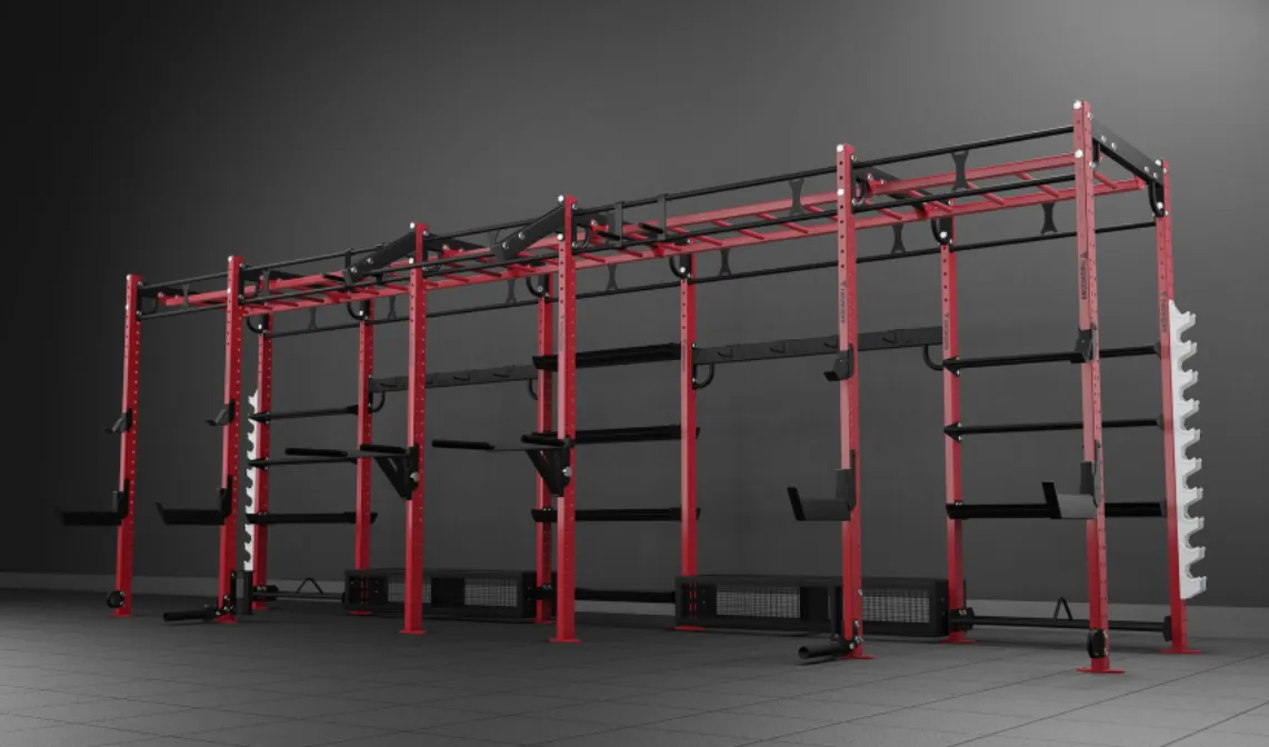 THROWDOWN 4x24 XTC Rig, Ankle support brace, Weight Plates, Sports bras high impact