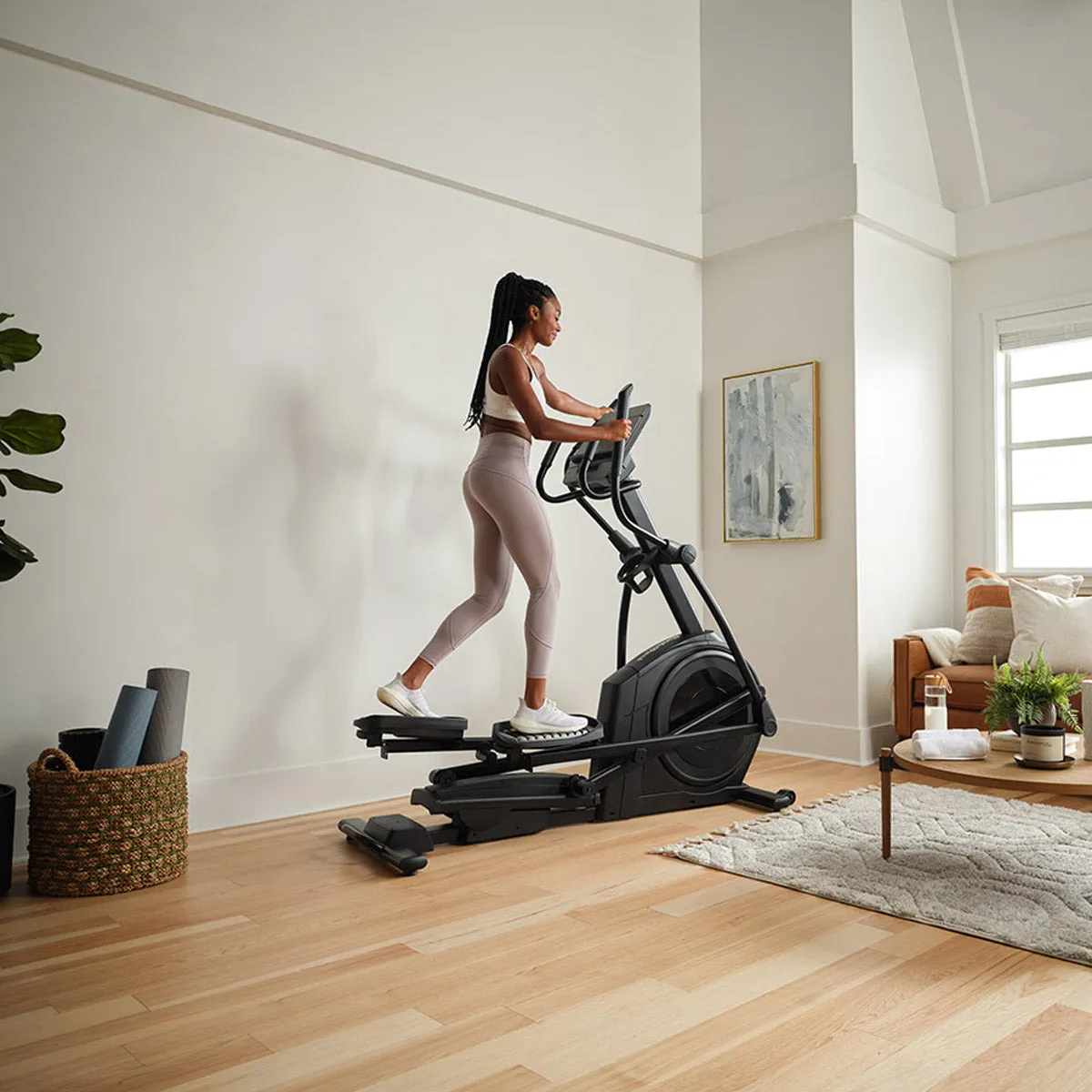 NordicTrack Airglide LE Elliptical, Gym equipment maintenance kit