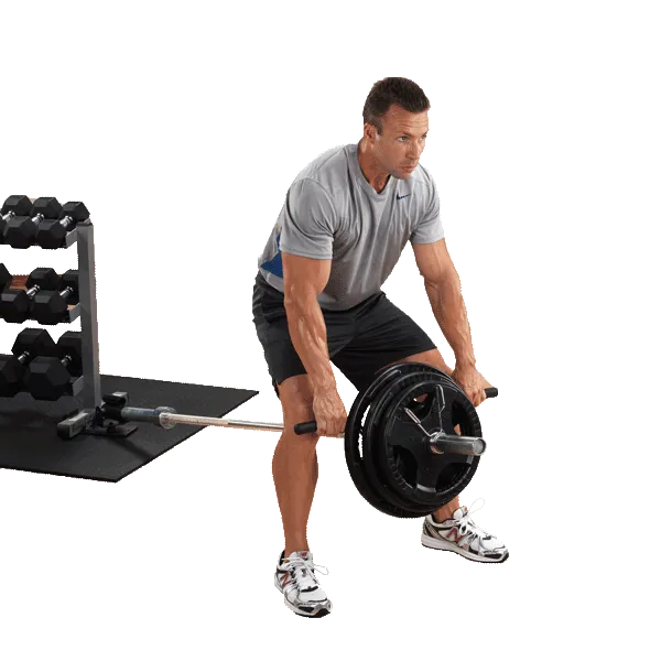 TBR20 T-Bar Row Platform, Non Electric Treadmill, Smith Machines