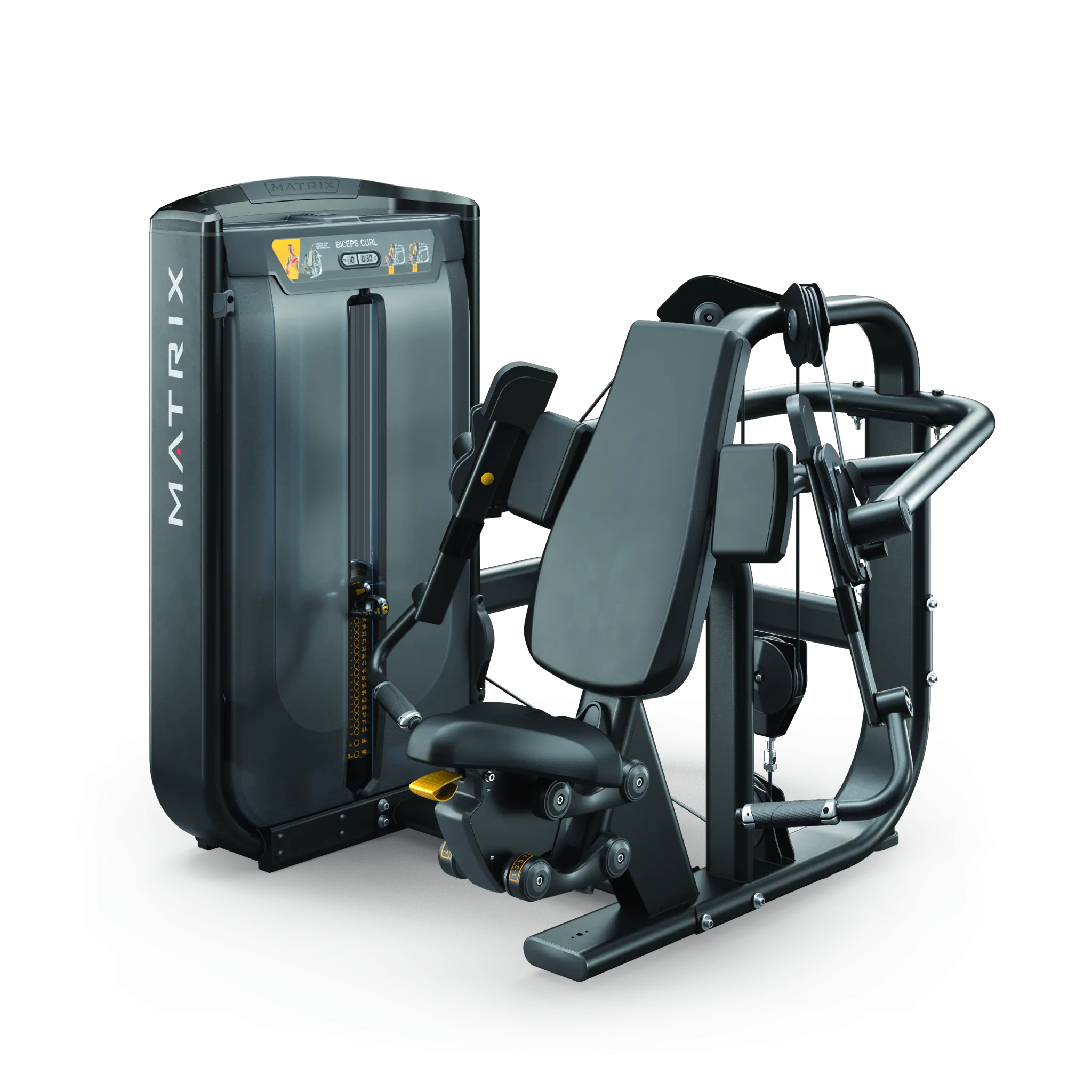 Trending Now Ultra Independent Biceps Curl Refined for You, Bikes,Treadmills