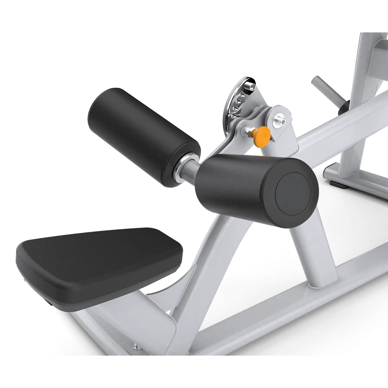 Magnum Lat Pulldown, Dumbbells, Twist Plates, Low impact cardio machine