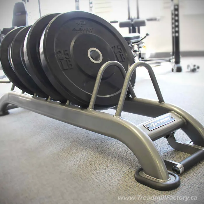 Element Fitness Bumper Plate Rack 852BR, Steppers