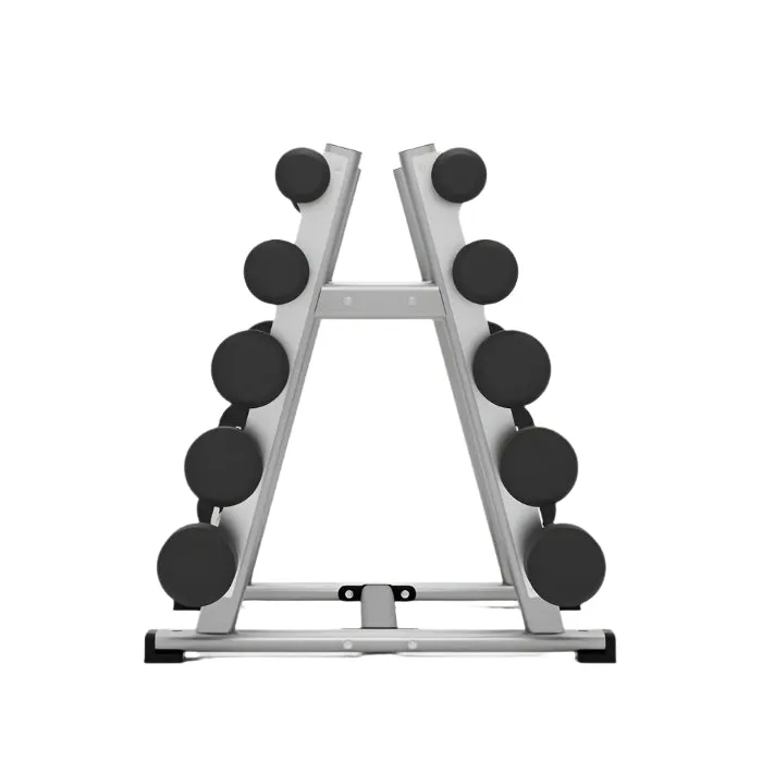 Exigo 10 Bar Double Sided Barbell Rack, Wheelchair accessible gym gear, Non Folding Treadmills, Jump rope weighted