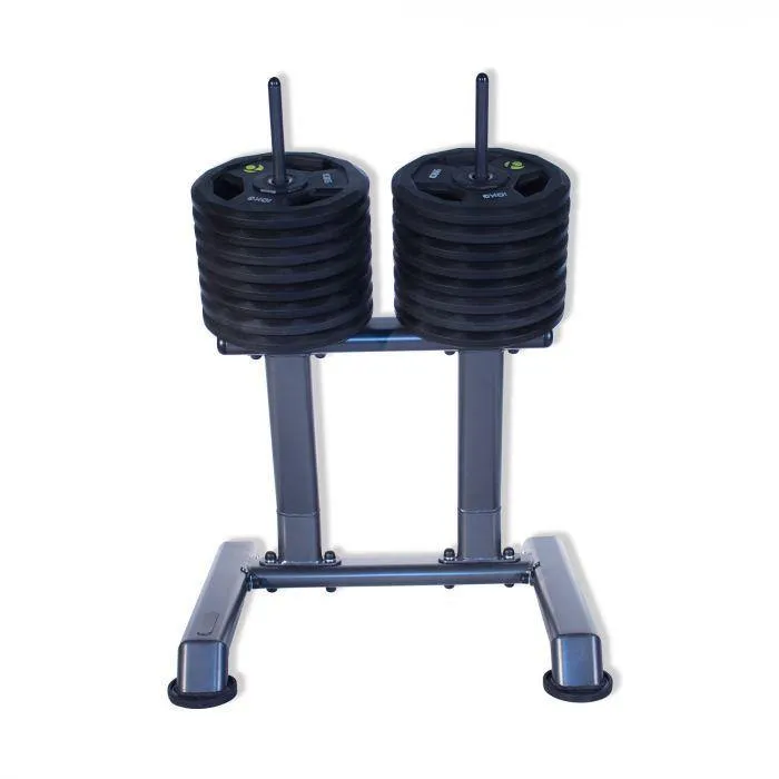 Physical Company Vertical Disc Rack, Gymnastic Rings, New Year workout sale