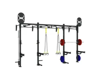 While Supplies Last TORQUE Fitness 14x4 Monkey Bar Wall Mount Rack Simple. Smart. Powerful., Single Stations