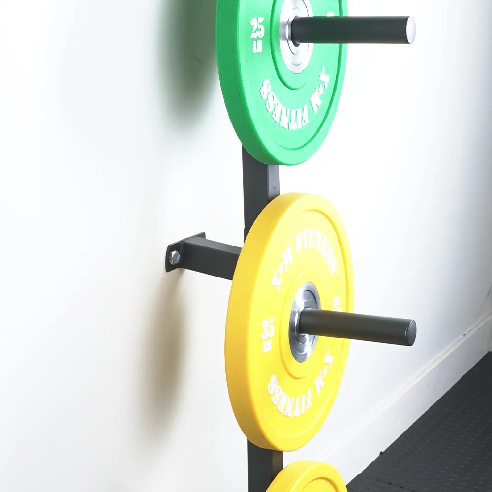 XM VERTICAL WALL PLATE STORAGE, Olympic Individual Frisbee, Upper Body Machines