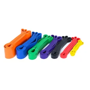 Worth the Hype Basic Resistance Bands Limited Edition, Pilates ring circle, Gym equipment mat flooring