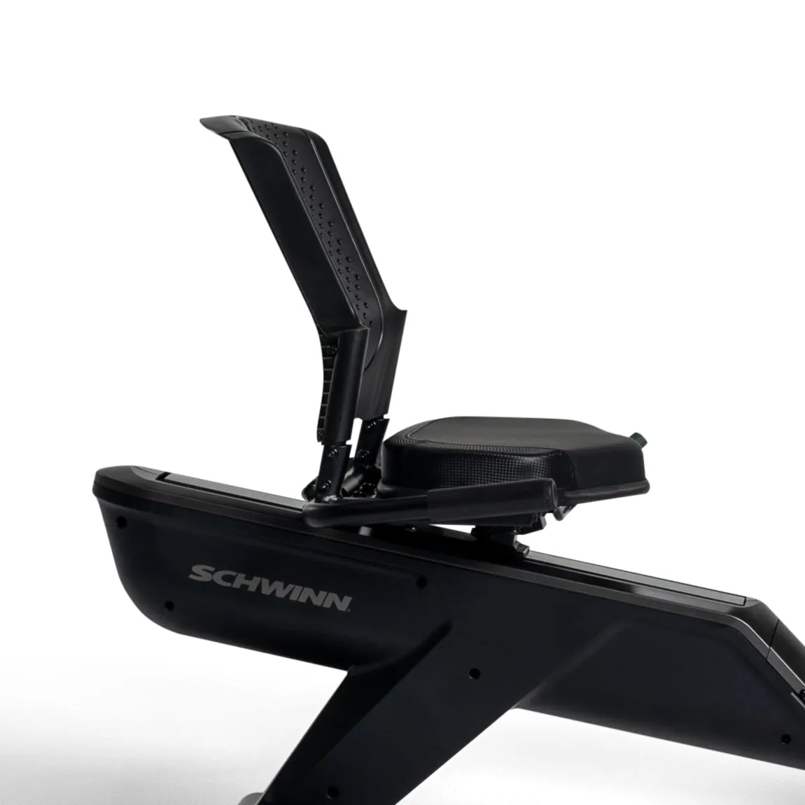 Schwinn 290 Recumbent Bike, Sandbags